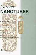 E-Book (pdf) Carbon Nanotubes von M. Endo, S. Iijima, M. S. Dresselhaus