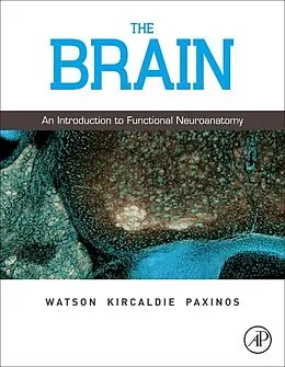 E-Book (epub) The Brain von Charles Watson, Matthew Kirkcaldie, Ma Paxinos AO (BA