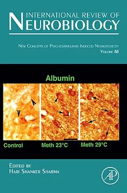 E-Book (pdf) New Concepts of Psychostimulants Induced Neurotoxicity von Hari Shanker Sharma