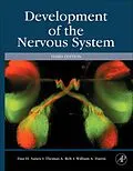 E-Book (epub) Development of the Nervous System von Dan H. Sanes, Thomas A. Reh, William A. Harris