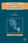 E-Book (epub) International Review of Cell and Molecular Biology von Kwang W. Jeon