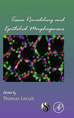 eBook (pdf) Tissue Remodeling and Epithelial Morphogenesis de 