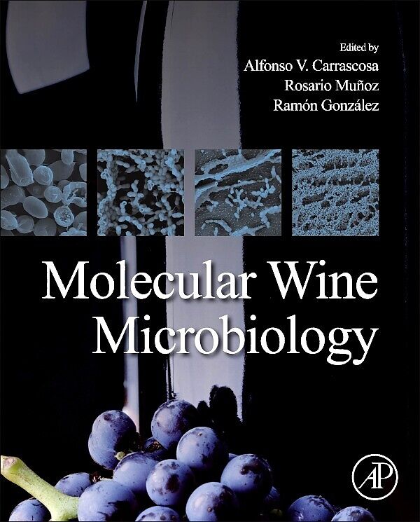 Molecular Wine Microbiology