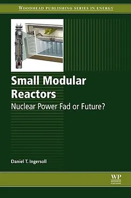 E-Book (pdf) Small Modular Reactors von Daniel T Ingersoll
