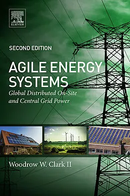 E-Book (epub) Agile Energy Systems von Woodrow W. Clark II