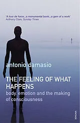 Kartonierter Einband The Feeling of What Happens von Antonio Damasio