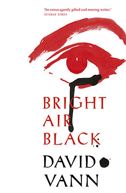 Poche format B Bright Air Black von David Vann