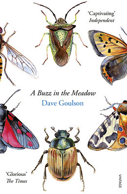 Couverture cartonnée A Buzz in the Meadow de Dave Goulson