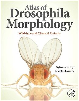 eBook (pdf) Atlas of Drosophila Morphology de Sylwester Chyb, Nicolas Gompel