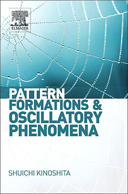 eBook (pdf) Pattern Formations and Oscillatory Phenomena de 