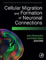 E-Book (epub) Cellular Migration and Formation of Neuronal Connections von 