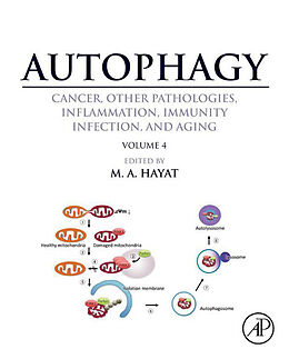 E-Book (epub) Autophagy: Cancer, Other Pathologies, Inflammation, Immunity, Infection, and Aging von 