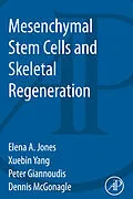 E-Book (epub) Mesenchymal Stem Cells and Skeletal Regeneration von Peter Giannoudis, Elena Jones, Xuebin Yang