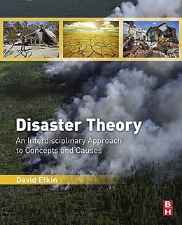 E-Book (epub) Disaster Theory von David Etkin