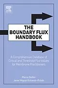E-Book (epub) The Boundary Flux Handbook von Marco Stoller, Javier Miguel Ochando-Pulido