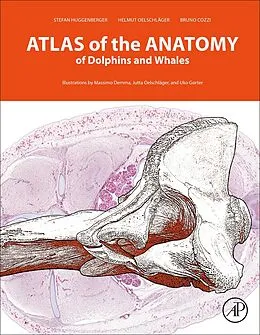 E-Book (epub) Atlas of the Anatomy of Dolphins and Whales von Stefan Huggenberger, Helmut A Oelschläger, Bruno Cozzi