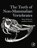 E-Book (epub) The Teeth of Non-Mammalian Vertebrates von Barry K. B. Berkovitz, R. P Shellis