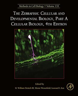 E-Book (epub) The Zebrafish: Cellular and Developmental Biology, Part A Cellular Biology von 