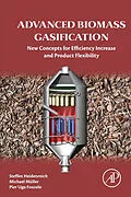 E-Book (pdf) Advanced Biomass Gasification von Steffen Heidenreich, Michael Müller, Pier Ugo Foscolo