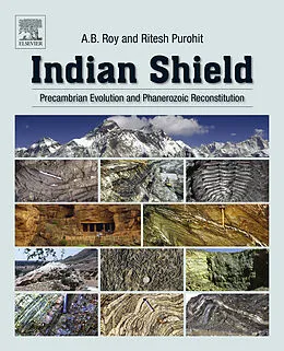 E-Book (epub) Indian Shield von A. B. Roy, Ritesh Purohit