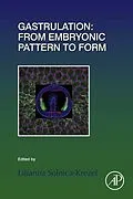 E-Book (epub) Gastrulation: From Embryonic Pattern to Form von 