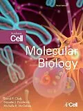 E-Book (epub) Molecular Biology von David P. Clark, Nanette J. Pazdernik, Michelle R. McGehee