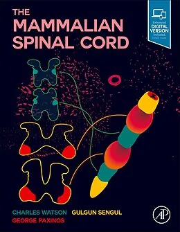 E-Book (epub) The Mammalian Spinal Cord von Charles Watson, Gulgun Sengul, George Paxinos