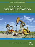 E-Book (epub) Gas Well Deliquification von James F. Lea Jr., Lynn Rowlan