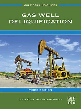 E-Book (epub) Gas Well Deliquification von James F. Lea Jr., Lynn Rowlan