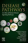 E-Book (epub) Disease Pathways von Anastasia P. Nesterova, Anton Yuryev, Eugene A. Klimov