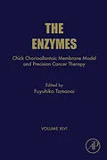 E-Book (epub) Chick Chorioallantoic Membrane Model and Precision Cancer Therapy von 