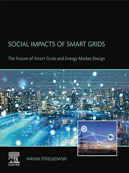 E-Book (epub) Social Impacts of Smart Grids von Wadim Strielkowski