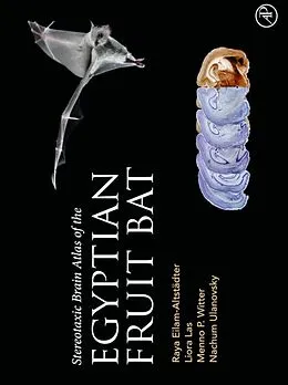 E-Book (epub) Stereotaxic Brain Atlas of the Egyptian Fruit Bat von Raya Eilam-Altstadter, Liora Las, Menno Witter