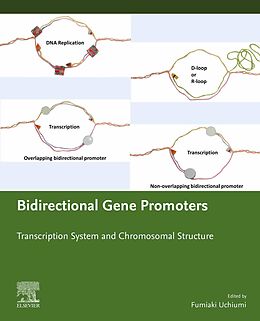 eBook (epub) Bidirectional Gene Promoters de Fumiaki Uchiumi