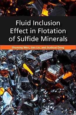 Kartonierter Einband Fluid Inclusion Effect in Flotation of Sulfide Minerals von Shuming Wen, Jian Liu, Jiushuai Deng