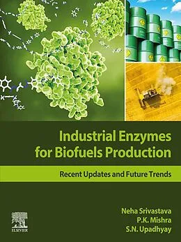 E-Book (epub) Industrial Enzymes for Biofuels Production von Neha Srivastava, P. K. Mishra, S. N. Upadhyay