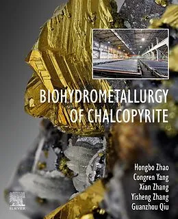 E-Book (epub) Biohydrometallurgy of Chalcopyrite von Hongbo Zhao, Congren Yang, Xian Zhang