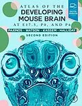 E-Book (epub) Atlas of the Developing Mouse Brain von Ma Paxinos AO (BA, Glenda Halliday, Charles Watson
