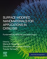 eBook (epub) Surface Modified Nanomaterials for Applications in Catalysis de 