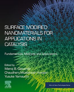 eBook (epub) Surface Modified Nanomaterials for Applications in Catalysis de 