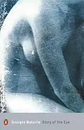 E-Book (epub) Story of the Eye von Georges Bataille