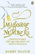 E-Book (epub) Imagining Numbers von Barry Mazur