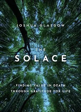 E-Book (epub) The Solace von Joshua Glasgow