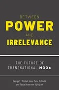 E-Book (epub) Between Power and Irrelevance von George E. Mitchell, Hans Peter Schmitz, Tosca Bruno-Van Vijfeijken