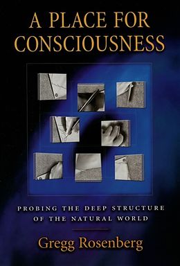 E-Book (epub) Place for Consciousness von Gregg Rosenberg