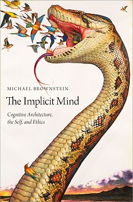 eBook (epub) The Implicit Mind de Michael Brownstein