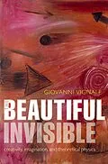 E-Book (epub) The Beautiful Invisible von Giovanni Vignale