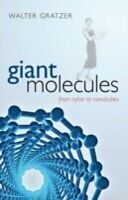 eBook (pdf) Giant Molecules From nylon to nanotubes de GRATZER WALTER