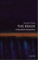 eBook (epub) Brain: A Very Short Introduction de Michael O'Shea