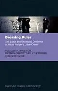 E-Book (epub) Breaking Rules: The Social and Situational Dynamics of Young People's Urban Crime von Per-Olof H. Wikström, Dietrich Oberwittler, Kyle Treiber